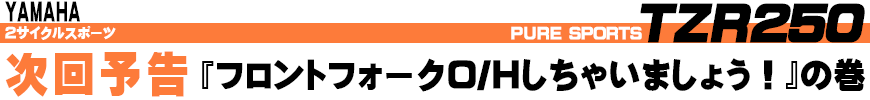 TZR250 フロントフォークO/Hしちゃいましょう！の巻