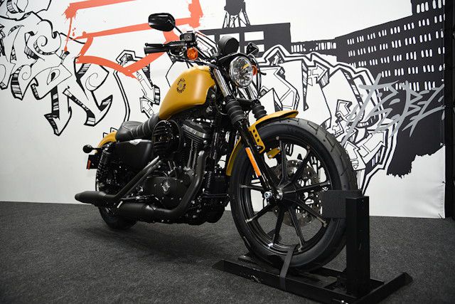 IRON883-02